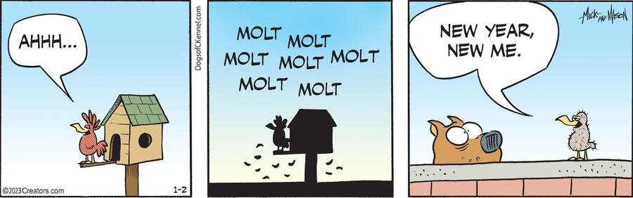 Dogs of C-Kennel for Jan 02, 2023