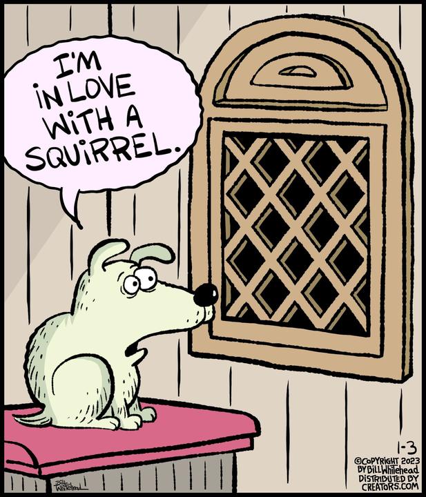 Free Range for Jan 03, 2023