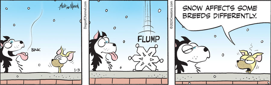 Dogs of C-Kennel for Jan 03, 2023
