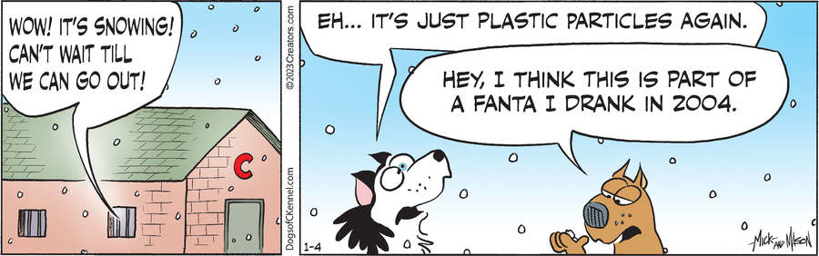 Dogs of C-Kennel for Jan 04, 2023