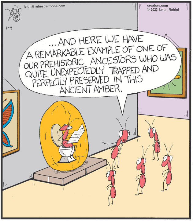 Rubes® for Jan 04, 2023