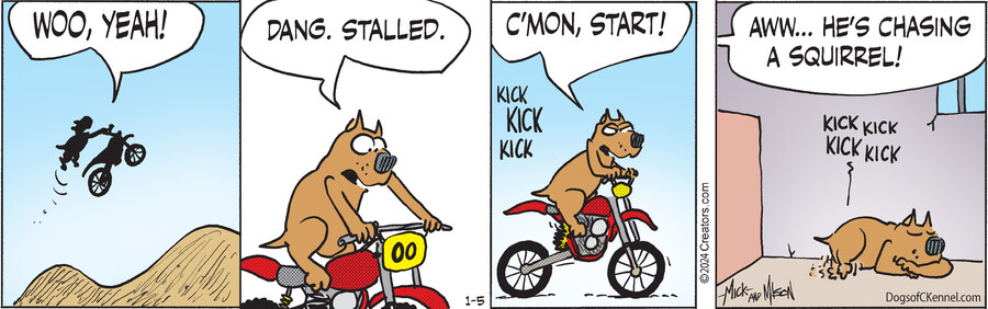 Dogs of C-Kennel for Jan 05, 2024