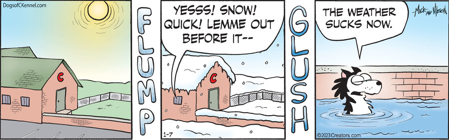 Dogs of C-Kennel for Jan 07, 2023