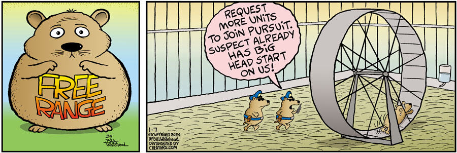 Free Range for Jan 07, 2024