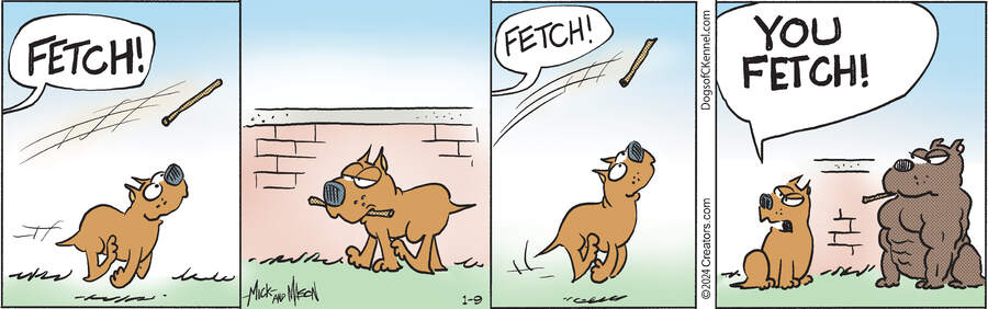 Dogs of C-Kennel for Jan 09, 2024