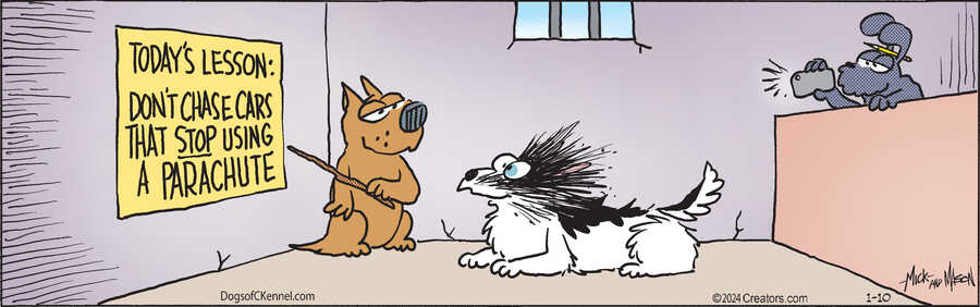 Dogs of C-Kennel for Jan 10, 2024
