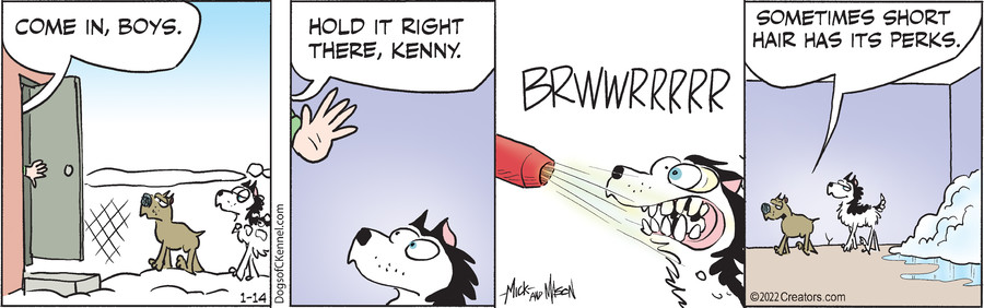 Dogs of C-Kennel for Jan 14, 2022