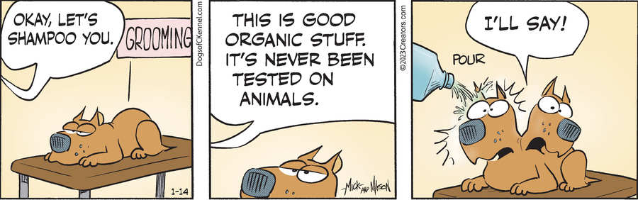 Dogs of C-Kennel for Jan 14, 2023