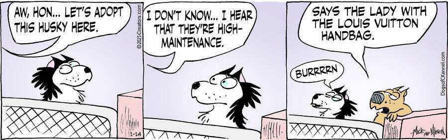 Dogs of C-Kennel for Jan 14, 2025