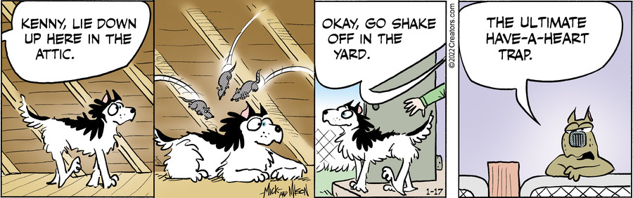 Dogs of C-Kennel for Jan 17, 2022