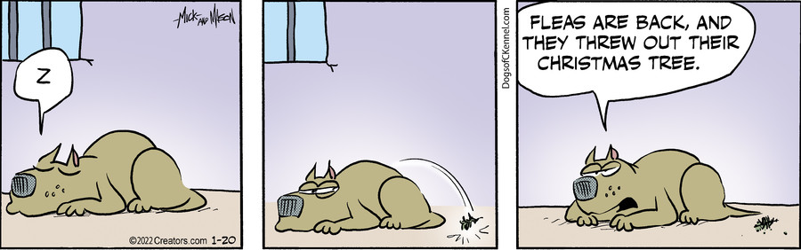 Dogs of C-Kennel for Jan 20, 2022