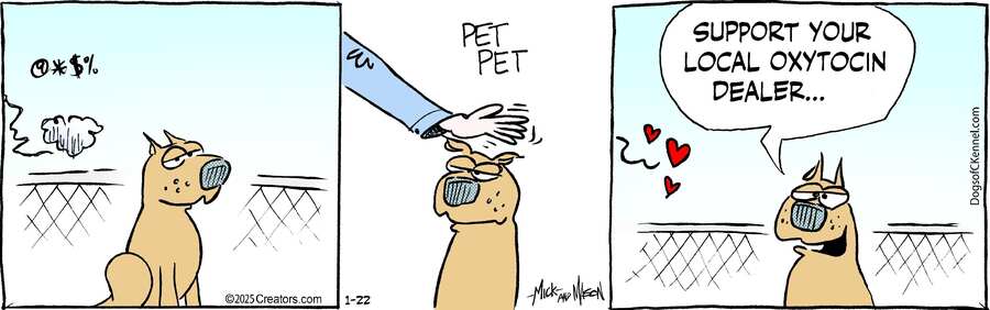 Dogs of C-Kennel for Jan 22, 2025