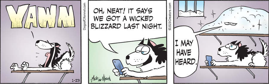 Dogs of C-Kennel for Jan 23, 2023