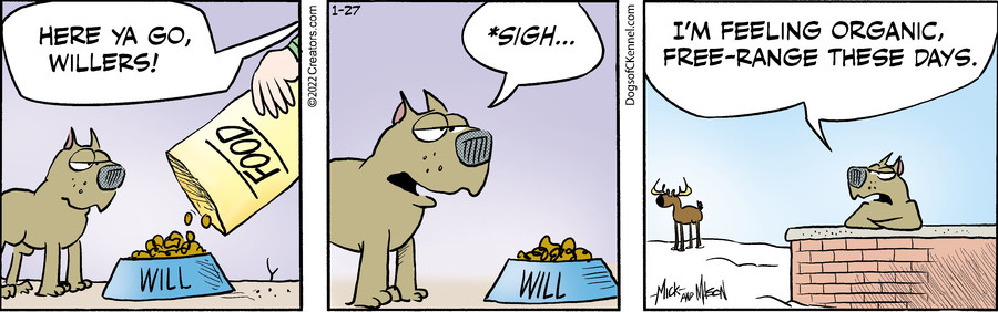 Dogs of C-Kennel for Jan 27, 2022