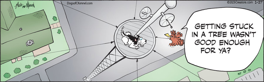 Dogs of C-Kennel for Jan 27, 2023