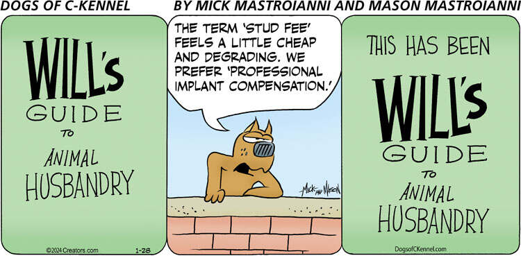 Dogs of C-Kennel for Jan 28, 2024