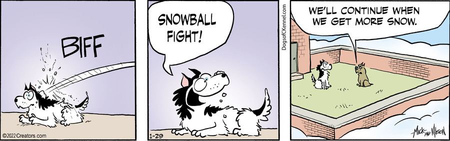 Dogs of C-Kennel for Jan 29, 2022
