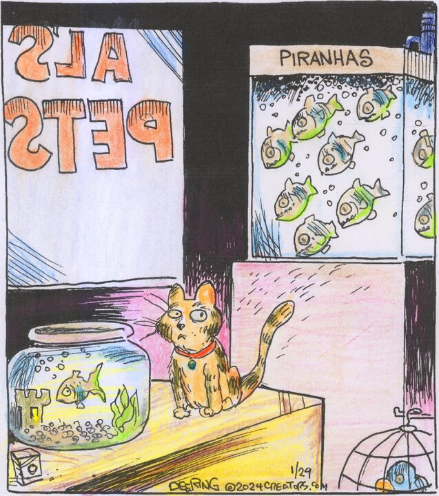 Strange Brew for Jan 29, 2024