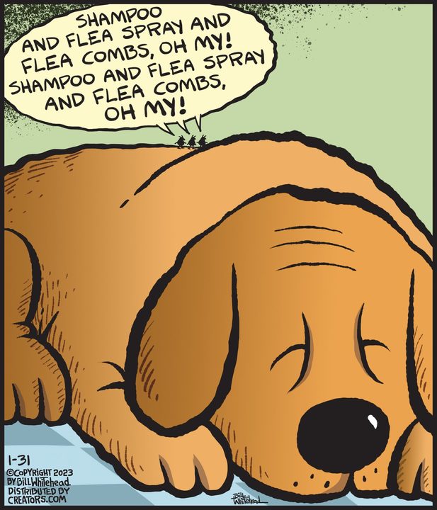 Free Range for Jan 31, 2023