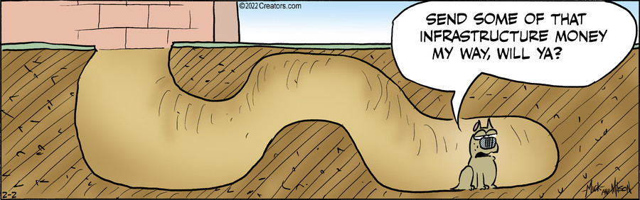 Dogs of C-Kennel for Feb 02, 2022