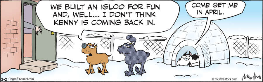 Dogs of C-Kennel for Feb 02, 2023