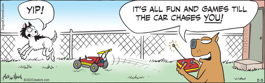 Dogs of C-Kennel for Feb 03, 2023