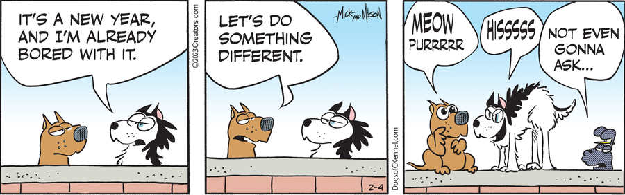 Dogs of C-Kennel for Feb 04, 2023