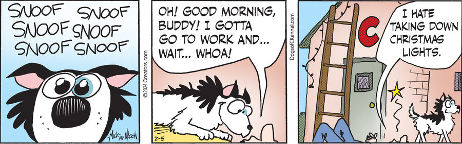 Dogs of C-Kennel for Feb 05, 2024