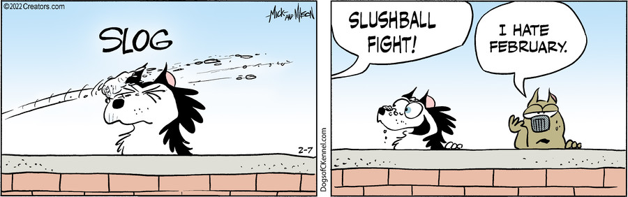 Dogs of C-Kennel for Feb 07, 2022