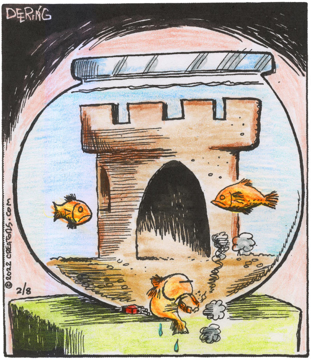 Strange Brew for Feb 08, 2022