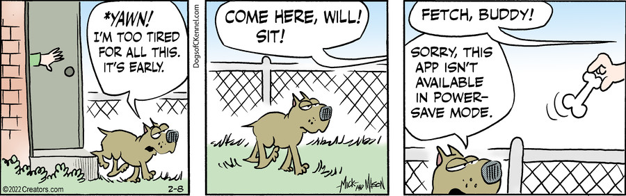 Dogs of C-Kennel for Feb 08, 2022