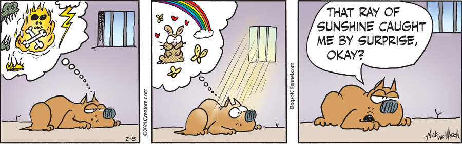Dogs of C-Kennel for Feb 08, 2024