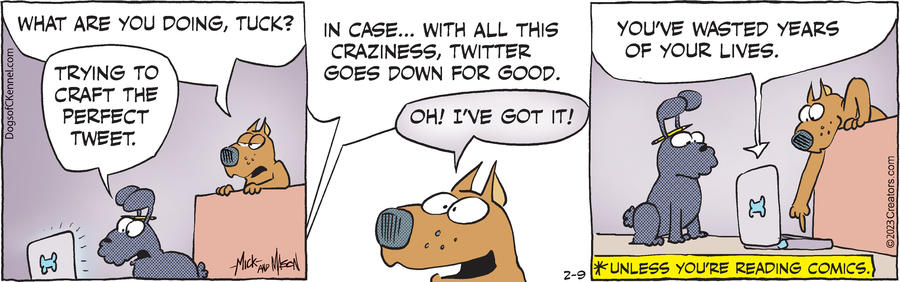 Dogs of C-Kennel for Feb 09, 2023