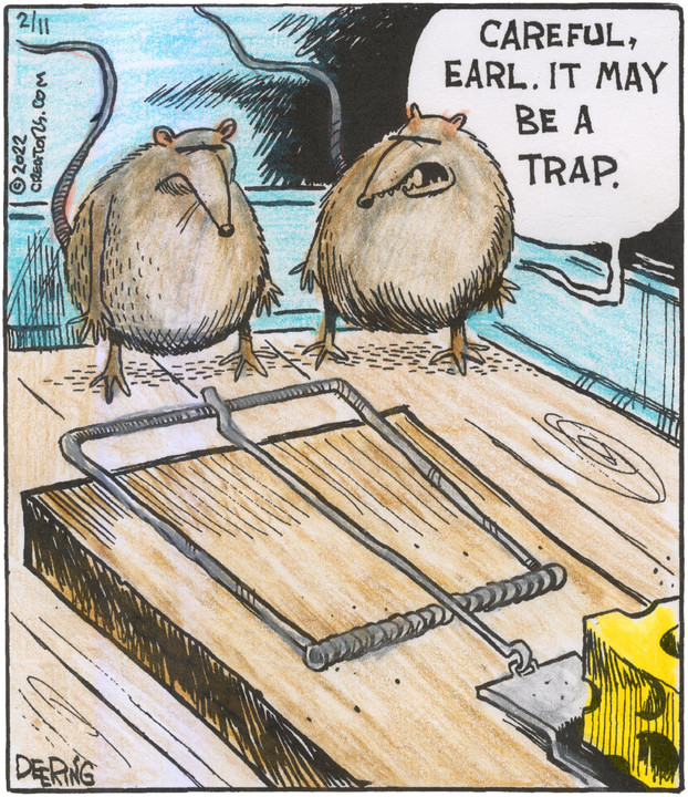 Strange Brew for Feb 11, 2022