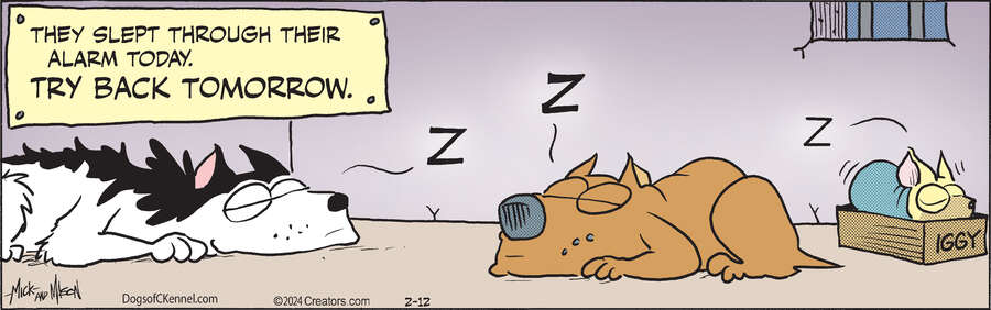 Dogs of C-Kennel for Feb 12, 2024