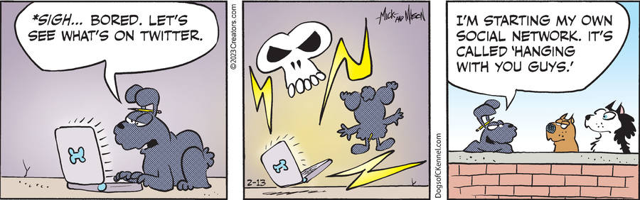 Dogs of C-Kennel for Feb 13, 2023