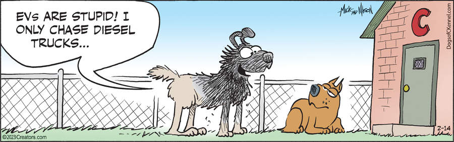 Dogs of C-Kennel for Feb 14, 2023