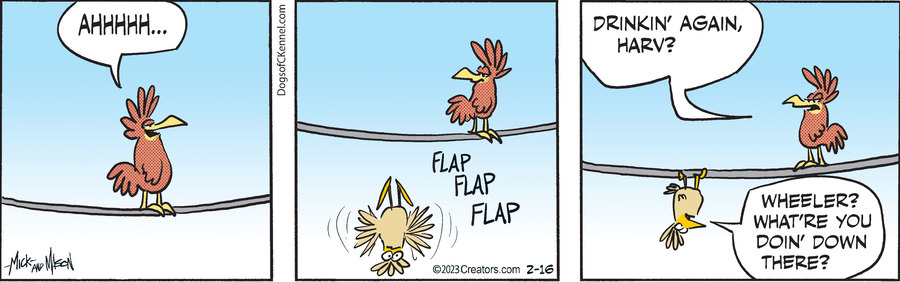 Dogs of C-Kennel for Feb 16, 2023