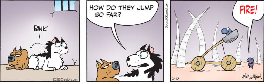 Dogs of C-Kennel for Feb 17, 2023