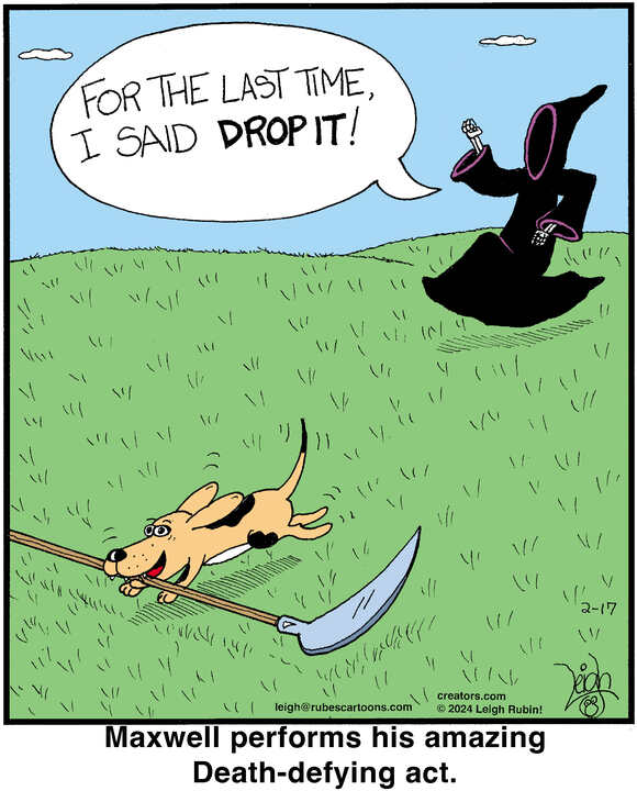 Rubes® for Feb 17, 2024