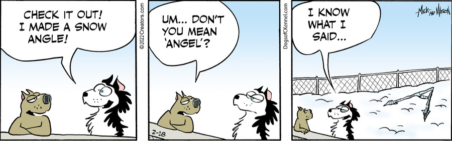 Dogs of C-Kennel for Feb 18, 2022