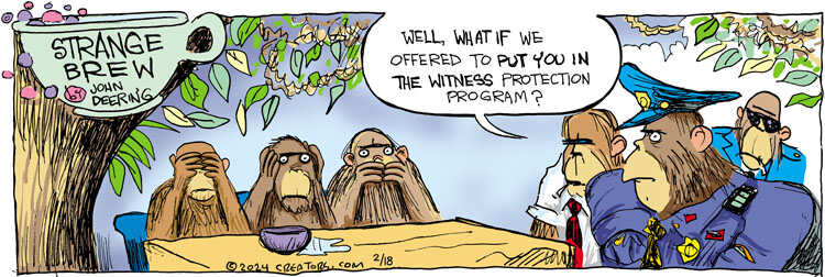 Strange Brew for Feb 18, 2024