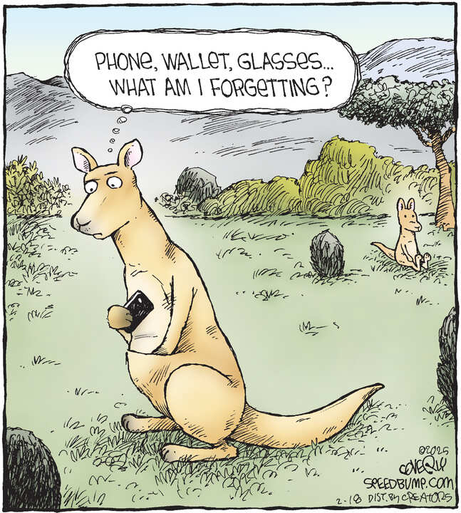 Speed Bump for Feb 18, 2025