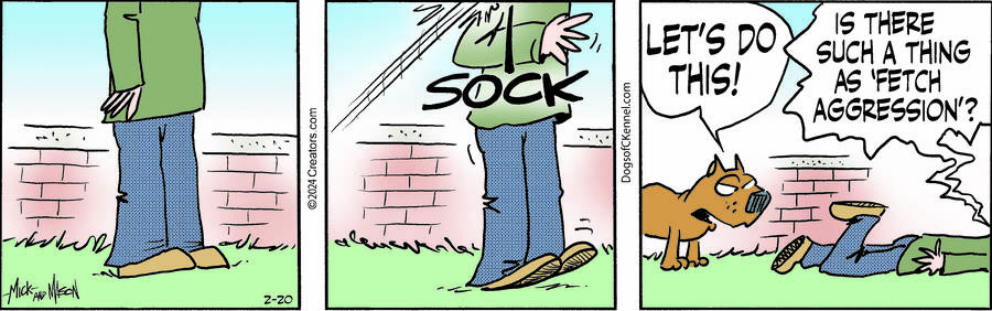 Dogs of C-Kennel for Feb 20, 2024