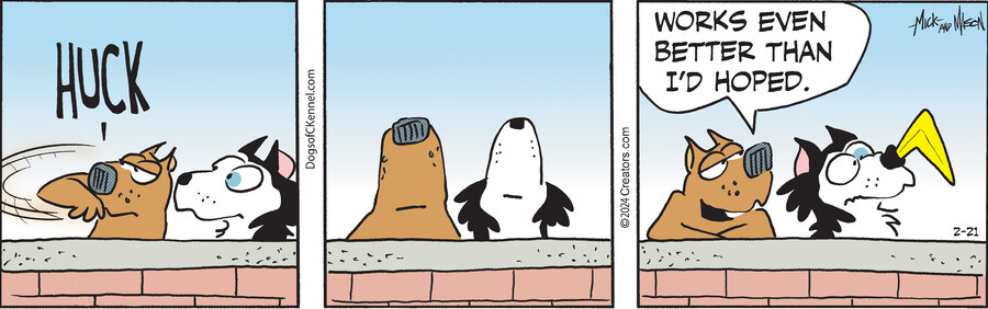 Dogs of C-Kennel for Feb 21, 2024