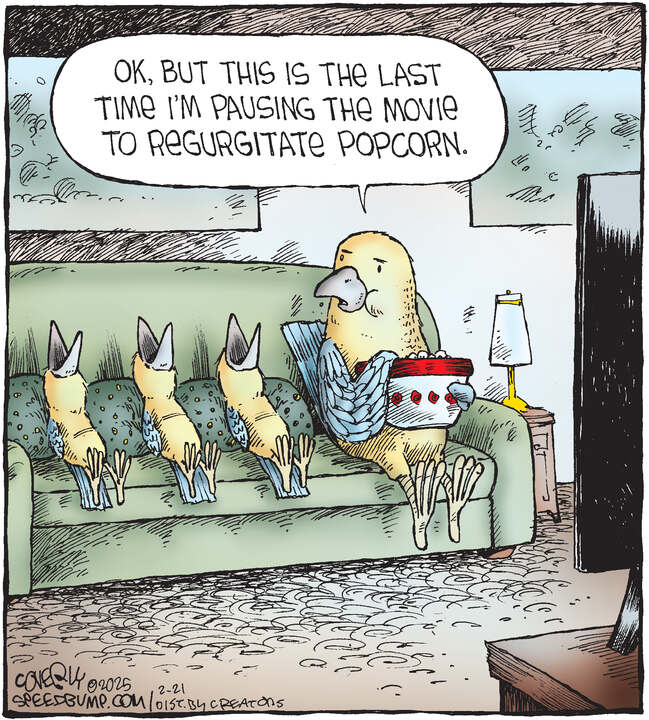 Speed Bump for Feb 21, 2025