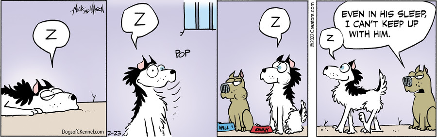 Dogs of C-Kennel for Feb 23, 2022