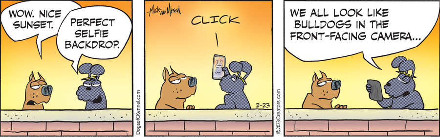 Dogs of C-Kennel for Feb 23, 2023