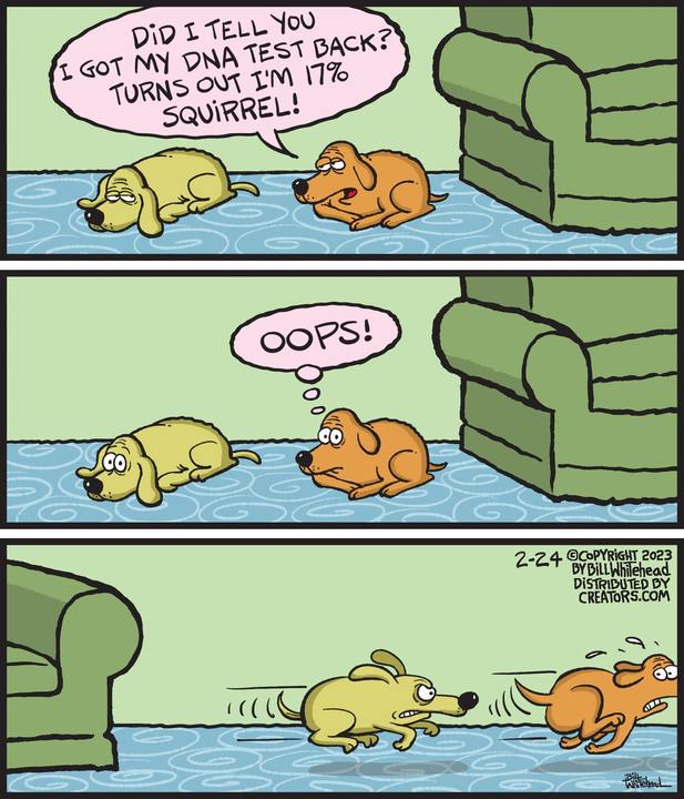 Free Range for Feb 24, 2023