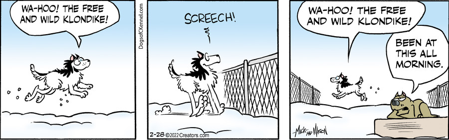 Dogs of C-Kennel for Feb 28, 2022